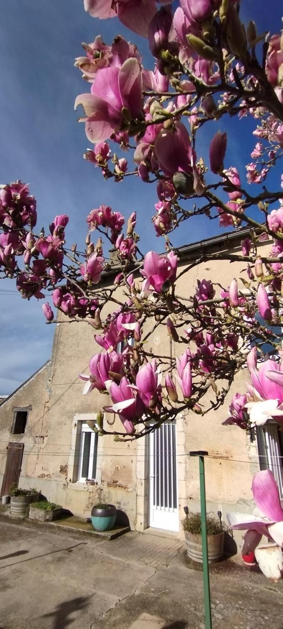 Gite L'Esprit Nature Naucelle Luaran gambar