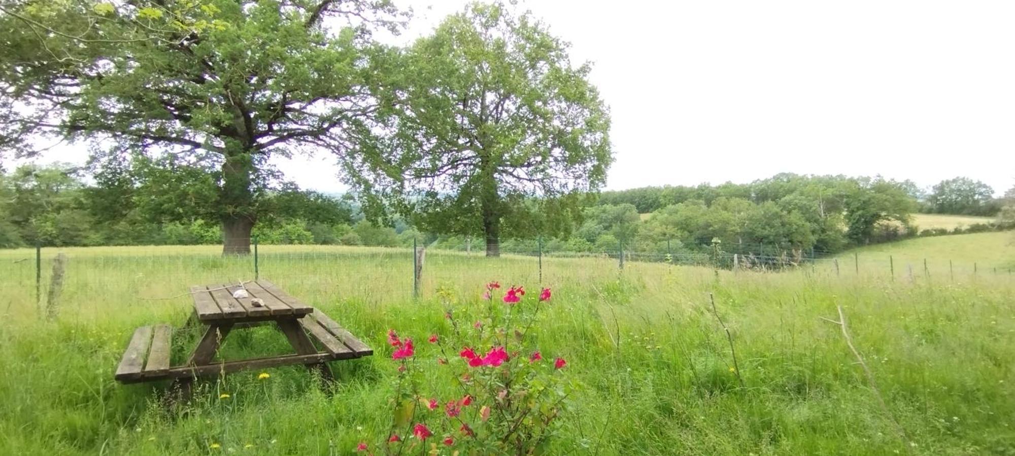 Gite L'Esprit Nature Naucelle Luaran gambar